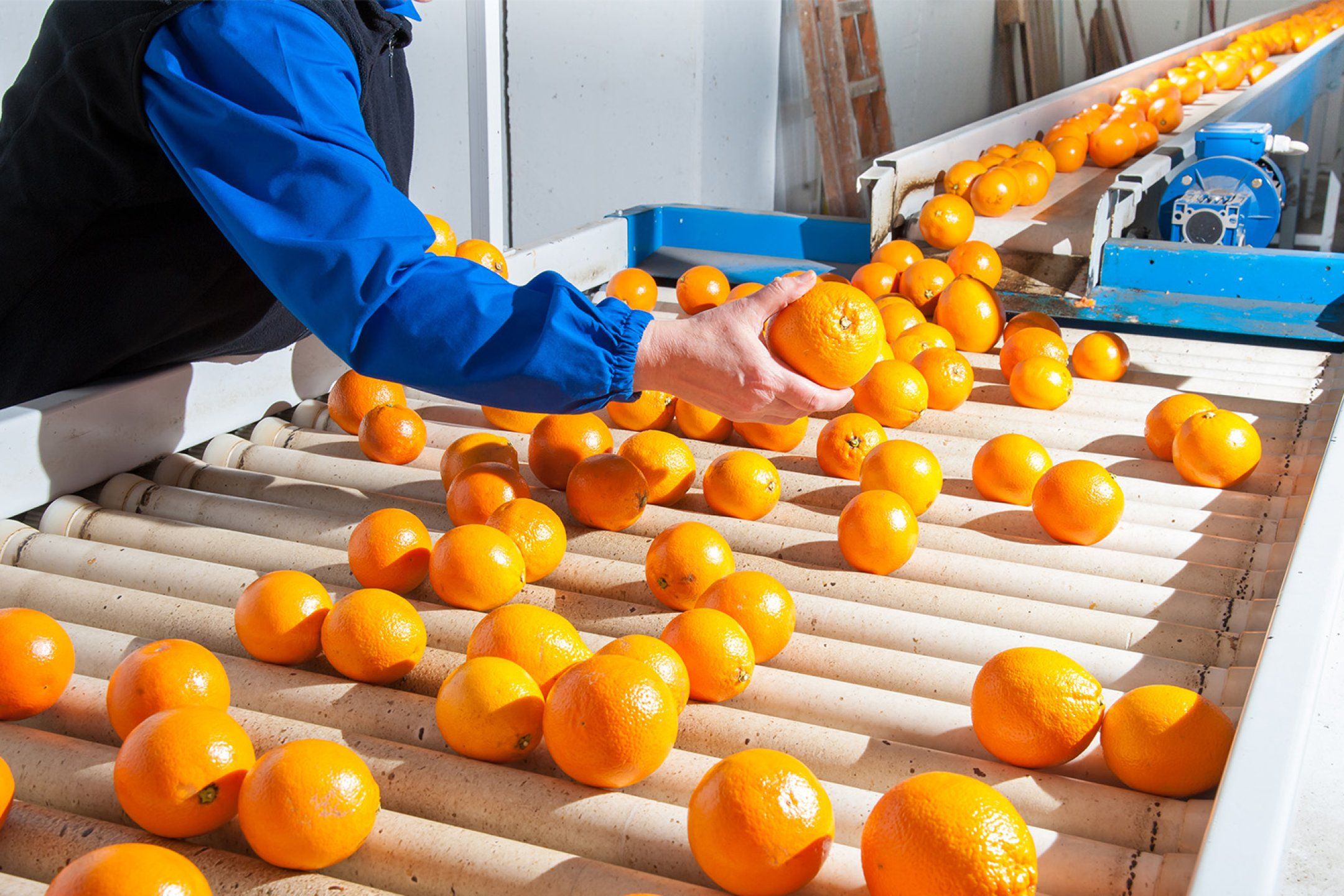 How to handle each crop